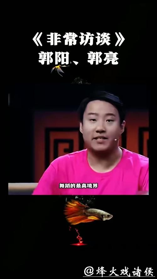 郭阳郭亮又陪跑!春晚三大“隐形门槛”卡死实力派? 郭阳郭亮又陪跑!春晚三大“隐形门槛”卡死实力派?